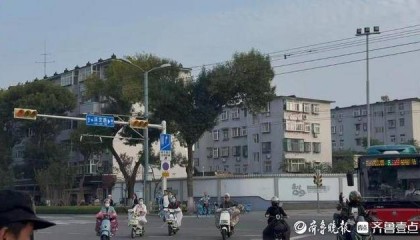 济南街头“恐龙树”走红，园林部门：形态天成，或随天气而变
