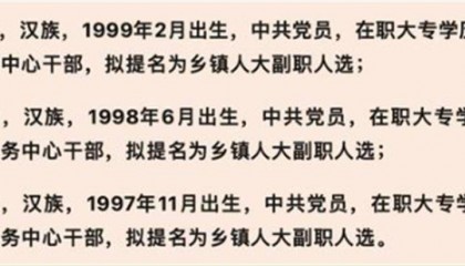 官方再回应“95后女干部提拔副科”，关键问题不能“选择性公开”