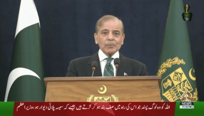 巴总理发表停火讲话：这是军队和全民族的胜利