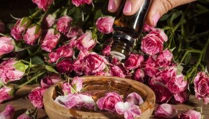 你知道吗？玫瑰精油除了美容护肤，还有这7大药用价值
