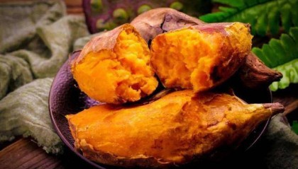 红薯和紫薯营养价值有什么区别？