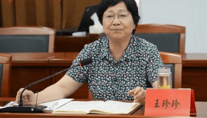 王珍珍,被查
