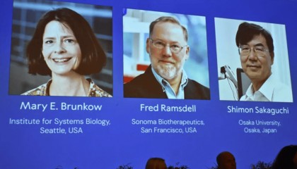 金灿荣：中国也许永远不会出现日本式的“诺贝尔奖井喷”