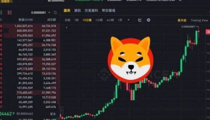 柴犬币暴拉100％！SHIB跃居10大加密货币，迷因力量超车AVAX、DOT