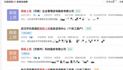 已有多家假装上班公司注册成立
