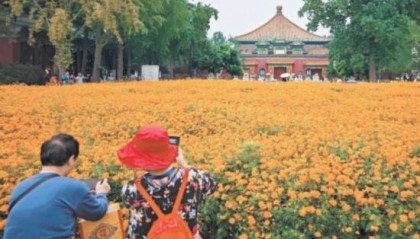 北京市属公园中秋游园活动丰富多彩