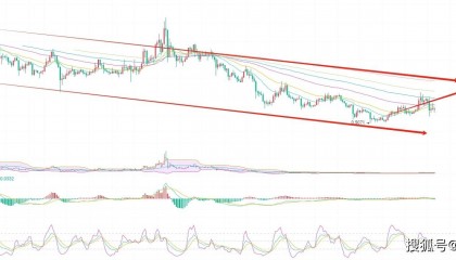 柚子币（EOS）为何值得长期持有？币圈院士谈：老牌币种的新机遇潜力与挑战