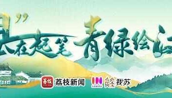 “县”在起笔 青绿绘江山丨天山映翠处，云杉碧水共新生