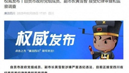 涉嫌严重违纪违法，四川省自贡市政府党组成员、副市长黄雪智接受审查调查