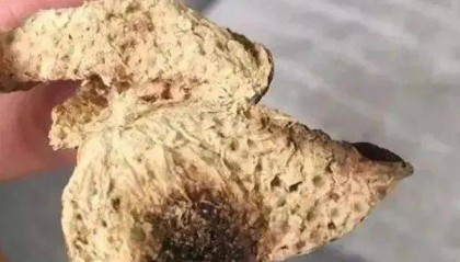 新会陈皮为什么会出现“烧皮”？“烧皮”后的陈皮还有收藏价值吗？