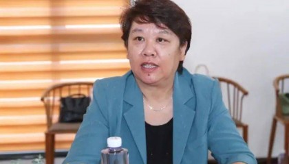 申淑娟,被查