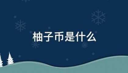 柚子币是什么