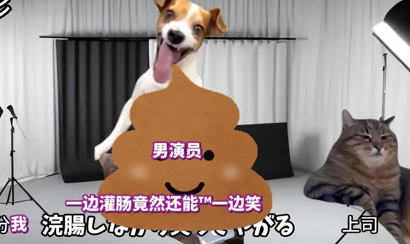 日本猫meme爆火，越南厂商进军猫meme手游，盘点猫meme极品素材