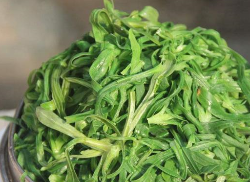 地里的这些野菜不仅好吃，还有这么大的药用价值，你知道吗？